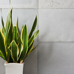 Stenvägg Concerto Grigio 0,46 m2