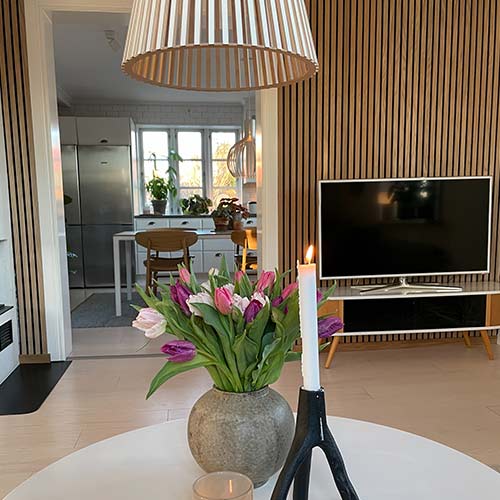 Tv-vägg med ribbvägg bakom