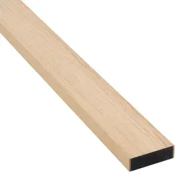 Avslutningslist Premium Ek 20x65 mm